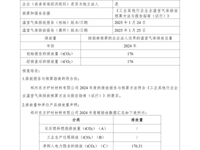 2024年度碳核查报告(温室气体排放核查报告)